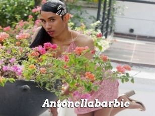 Antonellabarbie