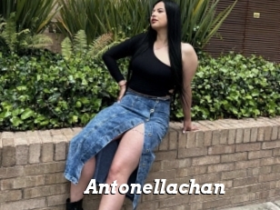Antonellachan