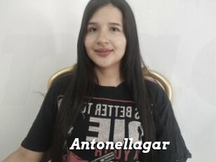 Antonellagar
