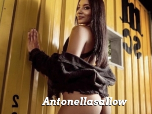 Antonellasallow