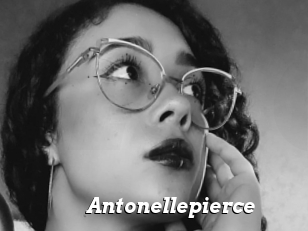 Antonellepierce