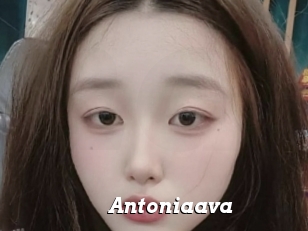 Antoniaava