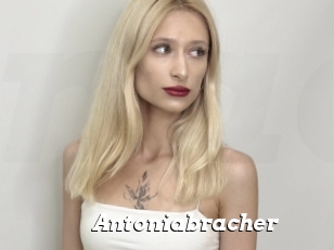 Antoniabracher