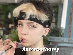 Antoniachasey