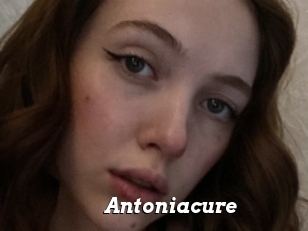 Antoniacure