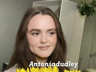 Antoniadudley