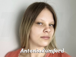 Antoniadumford