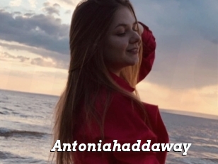 Antoniahaddaway