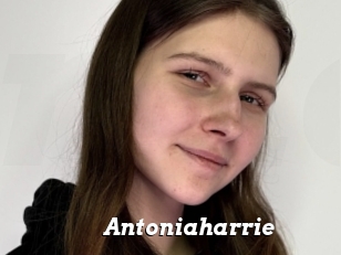 Antoniaharrie