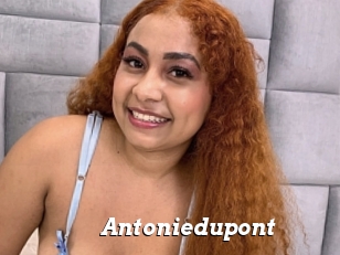 Antoniedupont
