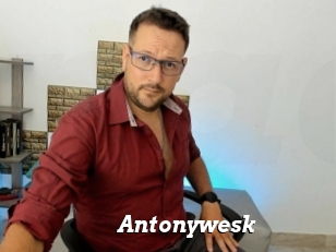 Antonywesk