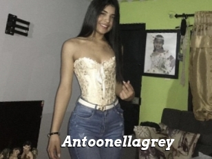 Antoonellagrey