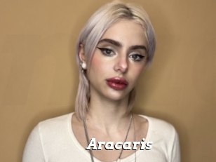 Aracaris