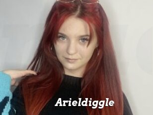 Arieldiggle