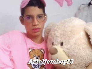 Arielfemboy23