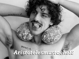 Aristotelesmustache18