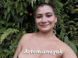 Artemiznayak