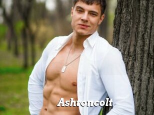 Ashtoncolt