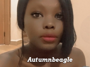 Autumnbeagle