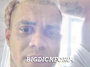 BIGDICKFORU4