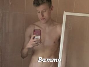 Bammo