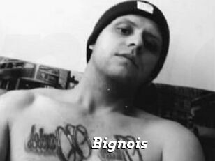 Bignois