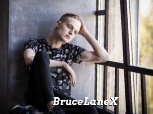 BruceLaneX