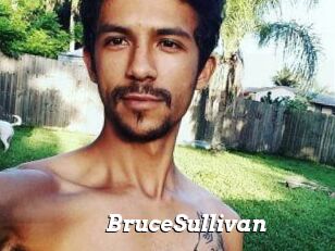 Bruce_Sullivan