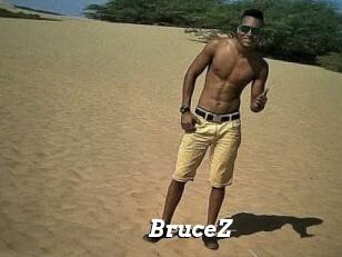 BruceZ