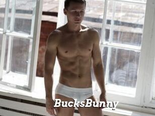 BucksBunny