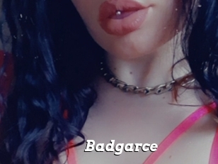 Badgarce