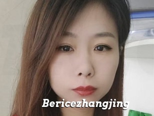 Bericezhangjing