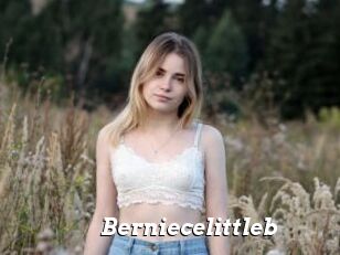 Berniecelittleb