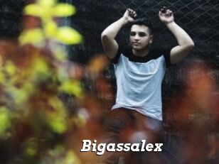 Bigassalex