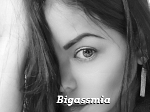 Bigassmia