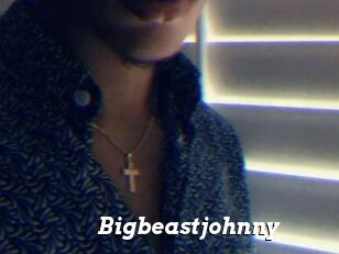 Bigbeastjohnny