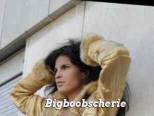 Bigboobscherie