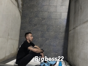 Bigboss22