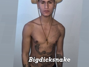 Bigdicksnake
