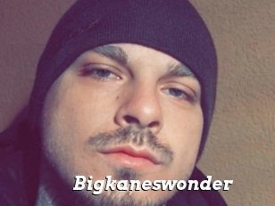 Bigkaneswonder