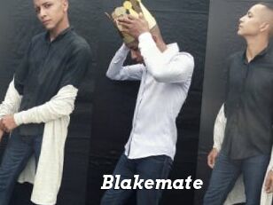 Blakemate