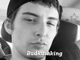 Budkushking