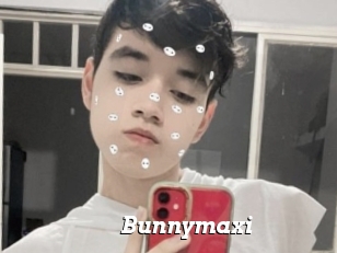 Bunnymaxi