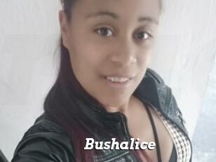 Bushalice