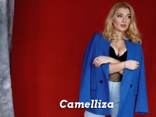 Camelliza
