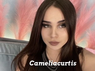 Cameliacurtis
