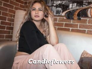 Candieflowers