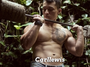 Carllewis