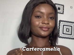 Cartercamelia