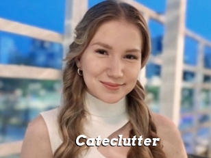 Cateclutter